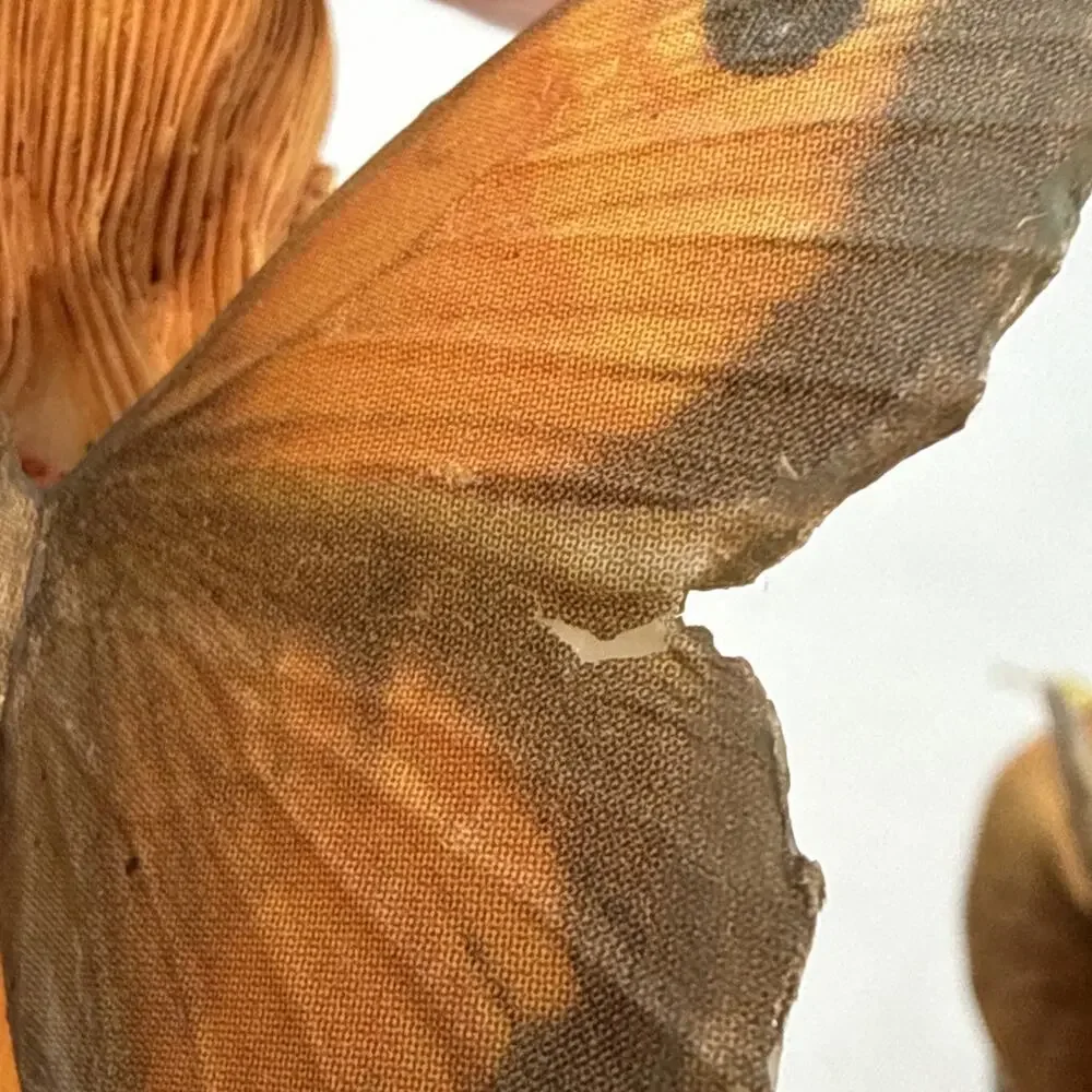 Butterflies Fairies Inspirational Figurines Let Your Love Shine & Gentle Slumber
